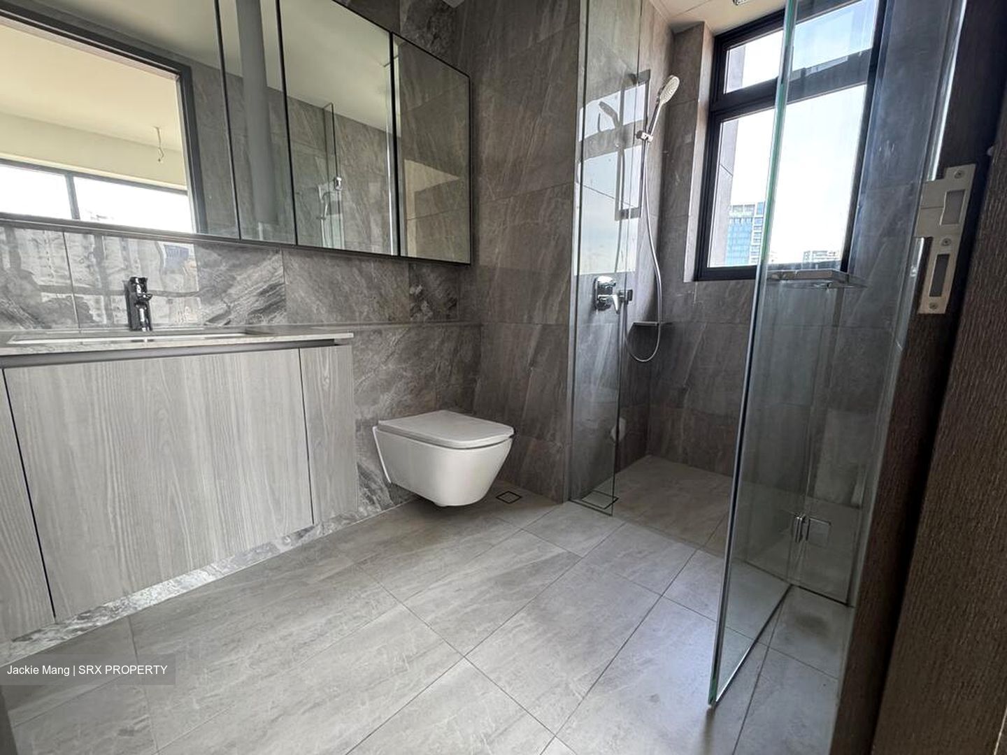 Piccadilly Grand (D8), Apartment #503149211